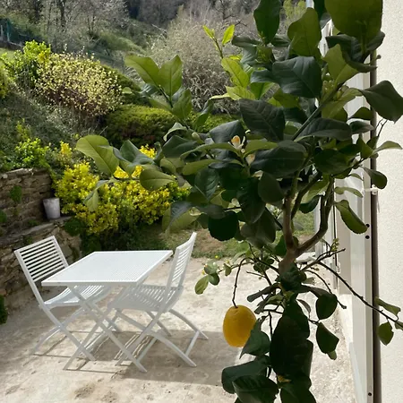 Les Terrasses Du Pilat ホームステイ